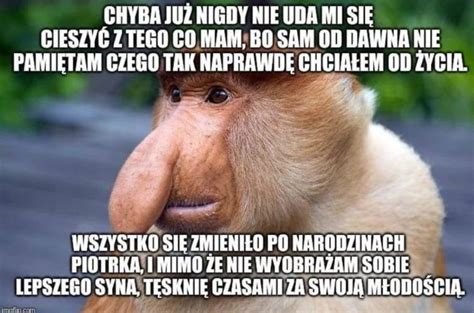 Nosacz Janusz W Nowej Odsłonie Smutne Memy Z Nosaczem Podbiły Internet