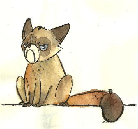 Tard The Grumpy Cat By Veralll On Deviantart