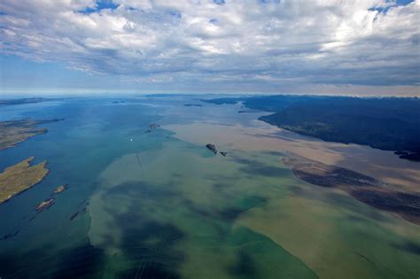 Skeena River Estuary