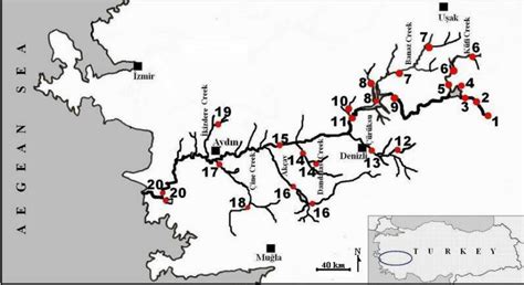 The Map Of Büyük Menderes River And Sampling Stations 1 Suçıkan