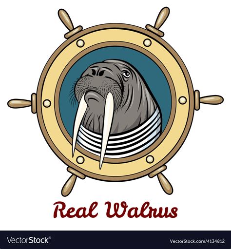 The Walrus Royalty Free Vector Image Vectorstock