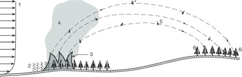 Schematic Illustration Of The Spotting Process 1 Wind Profile 2