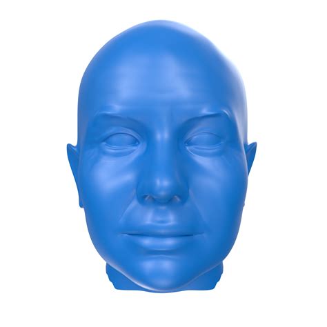 Free 3d Rendering Of Human Bust 17778154 Png With Transparent Background