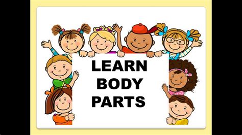 Body Parts Lesson Plan On Body Parts Kindergartenlets Learn Body