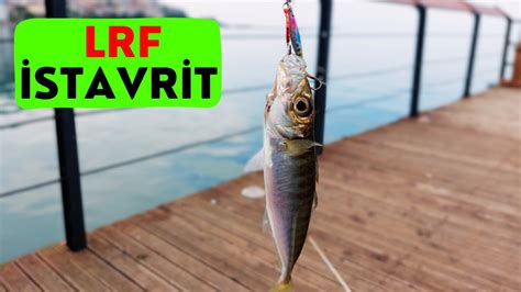 Lrf Balık Avı İstavrit Avı Balık Avı Videoları Youtube