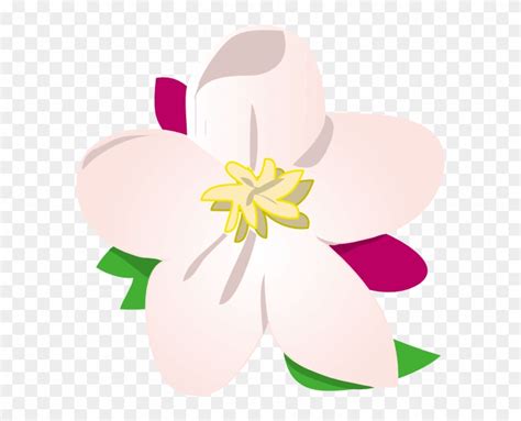 Apple Blossoms Clip Art Library