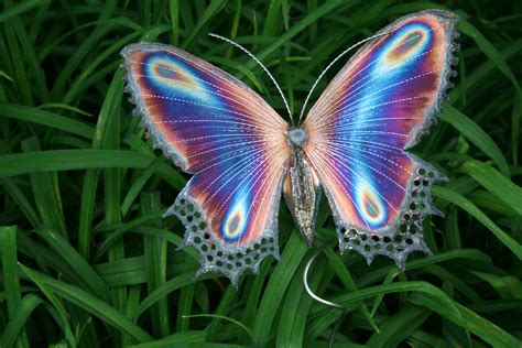 46 Purple Butterfly Desktop Wallpapers Wallpapersafari