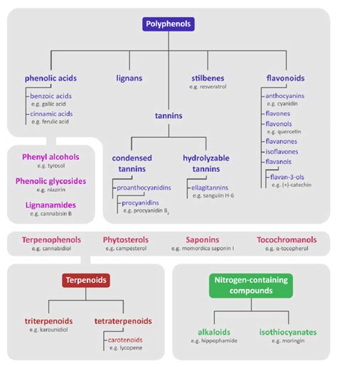 classification of phytochemicals the figure includes only the download scientific diagram