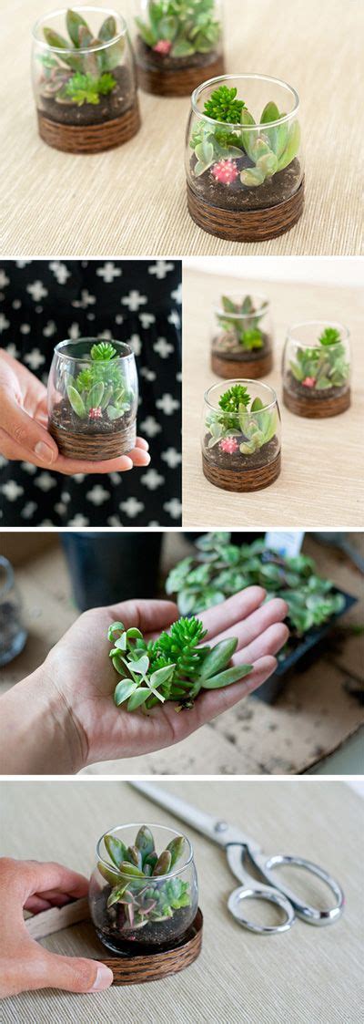 45 Best Images About Terrariums And Succulents On
