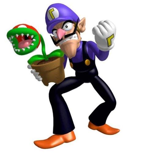 your favorite character from all the universe of nintendo it s not the waluigi it s the plant