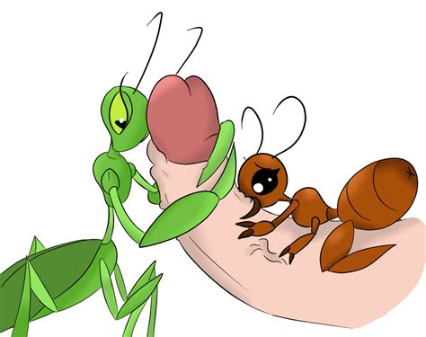 Rule Ant Antennae Arthropod Erection Female Femdom Group Group Sex Handjob Hi Res Human