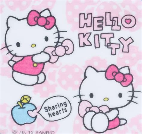 Pin By Apoame On Hello Kittys Hello Kitty Kitty Sanrio