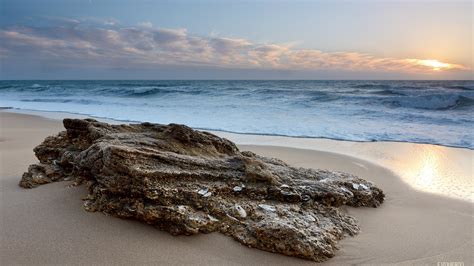 Beach Ocean Rock Stone Wallpaper 2560x1440 247891 Wallpaperup