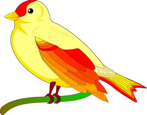Gambar Animasi Burung Kenari Terbaru