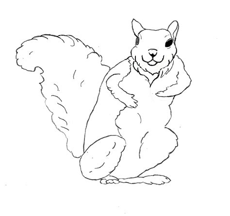 More 100 images of different animals for children's creativity. Free Printable Squirrel Coloring Pages For Kids