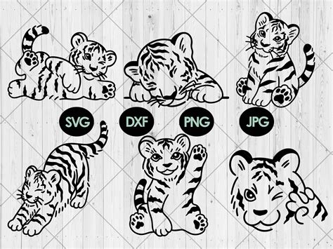 Cute Tiger Svg Bundle Baby Tiger Svg Graphic By Newhope Store