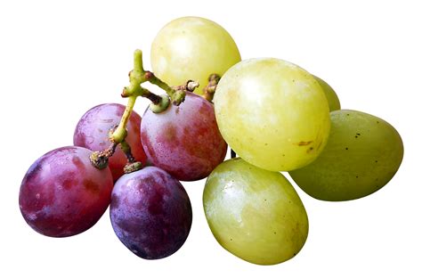 Red And Green Grapes Png Image Purepng Free Transparent Cc0 Png