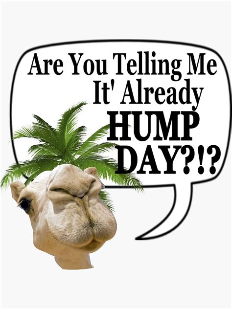 Hump Day Wednesday Camel Shirt T Sticker For Sale By Juditr