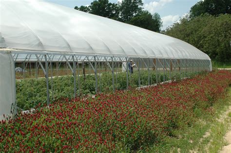 Hiring pest control businesses in new south wales costs about $50/hr on average. What is a High Tunnel? - HighTunnels.org