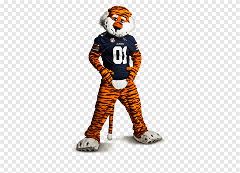 Auburn University Auburn Tigers Football Southeastern Conference Citrus