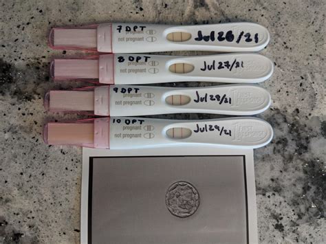 10 Dpt 15 Dpo Progression Update Not Only Is This Our First Bfp In 4
