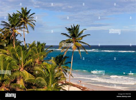 Caribbean Barbados Crane Beach Stock Photo Alamy