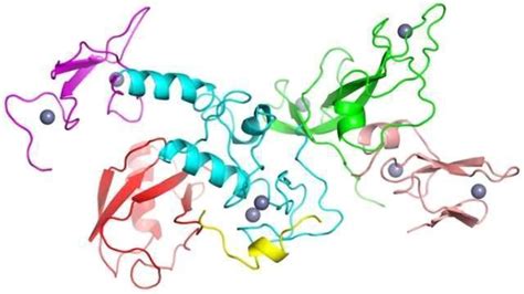 Tackling The Mysteries Of Protein Folding Technology Networks