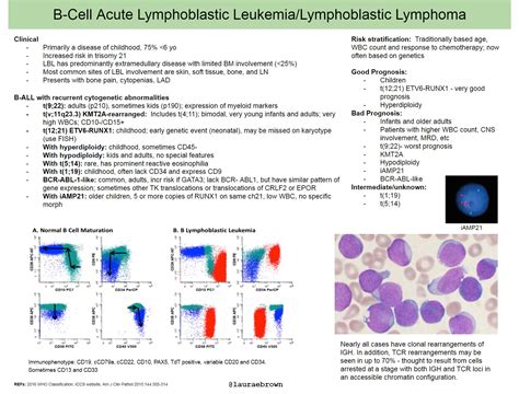B Cell Acute Lymphoblastic Leukemialymphoblastic Lymphoma Clinical