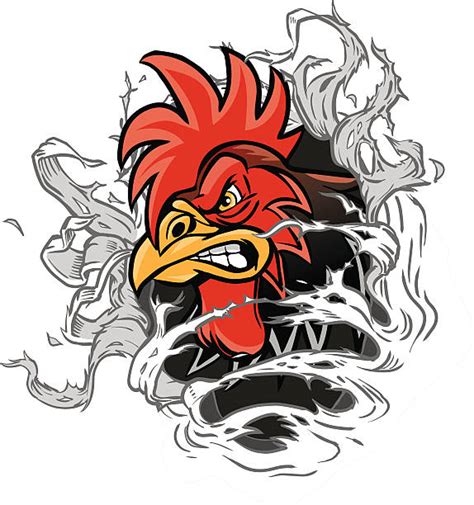 Best Angry Rooster Illustrations Royalty Free Vector