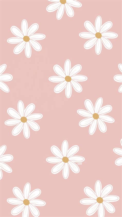 Daisy Pink Wallpaper Cute Simple Wallpapers Phone Wallpaper Iphone