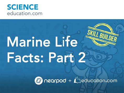 10 interesting marine biologist facts my interesting facts