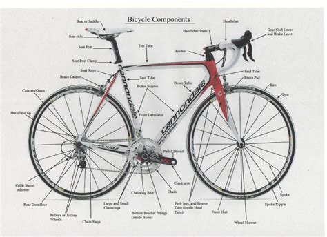 Bicycle Component Terminology Explained Veloreviews