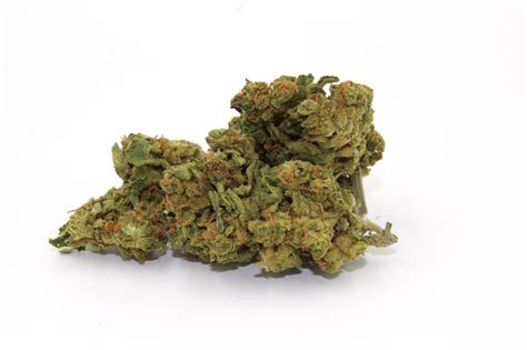 Top 5 Best Indica Strains Of All Time Sonoma Seeds