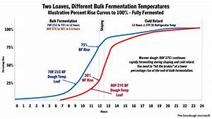 The Mystery Of Percentage Rise In Bulk Fermentation The Sourdough Journey