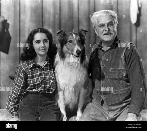 Elizabeth Taylor Frank Morgan Courage Of Lassie 1946 Directed By