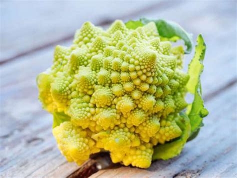 21 Unusual Vegetables You Can Grow And Where To Get Them Gardeners