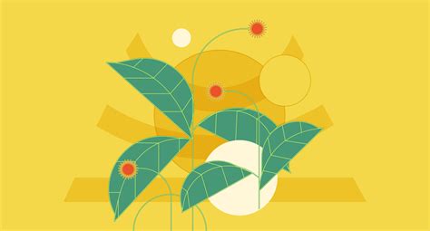 An In-Depth Look At Kratom’s Long-Term Side Effects & How to Avoid Them