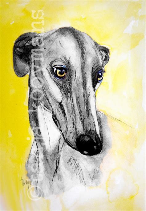 Greyhound Galgo Español Galgo Saluki Sighthound Hounds Dog Art