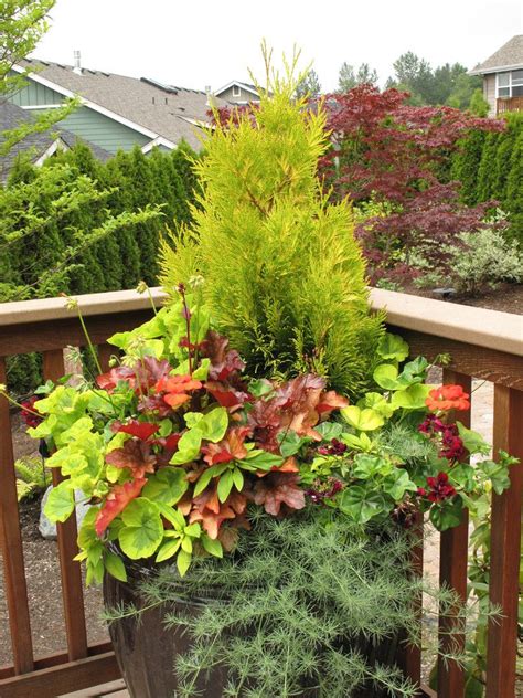 Bring Interest To Your Patiobalcony Areas Year Round Container