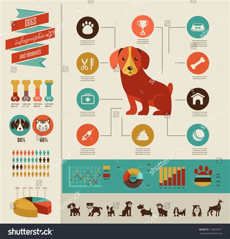 Dog Infographics Royalty Free Images Stock Photos And Pictures