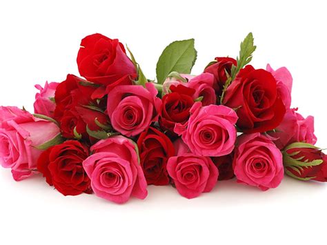 Red Rose Pink Rose Flowers Bouquet Hd Wallpaper