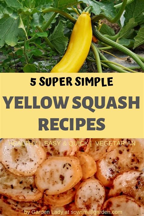 5 Yellow Squash Recipes Super Quick And Easy • Sow Small Garden