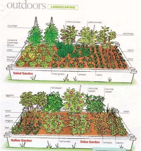 Sample fenced square garden layout. Vegetable Garden Layout and Ways To Improve - My Garden Plant