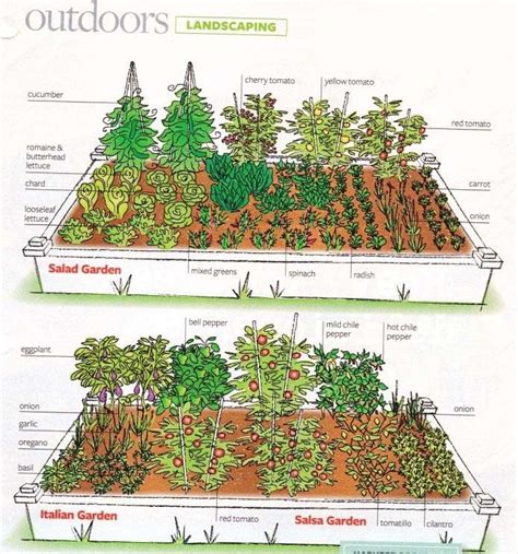 Inexpensive diy raised garden bed design. Vegetable Garden Layout and Ways To Improve - My Garden Plant