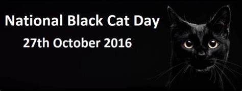 Black cats are lucky not unlucky vintage black cat good luck card; Happy National Black Cat Day 2016The Chronicles Of ...