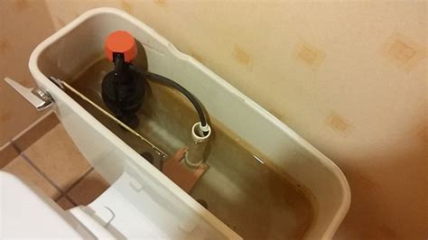 The Trick To Fixing A Leaking Toilet Tank The Trick To