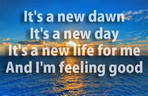 Its A New Dawn Its A New Day Its A New Life For Me A Quotes