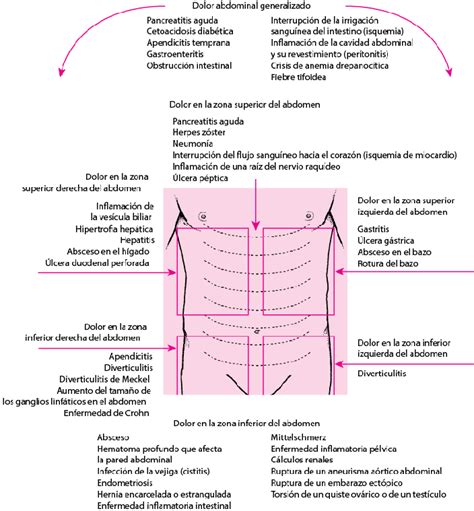 Medicina y Melodía Dolor abdominal agudo