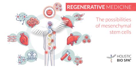 Stem Cell Therapy Using Regenerative Medicine To Treat Chronic And