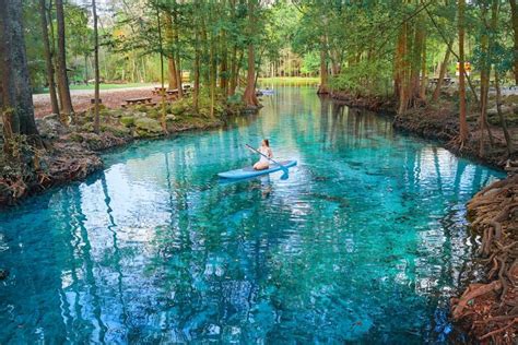 12 Best Natural Springs Near Tampa You Must Visit Florida Trippers